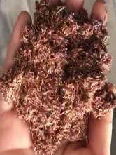 欧博abg(游戏)官网登录入口